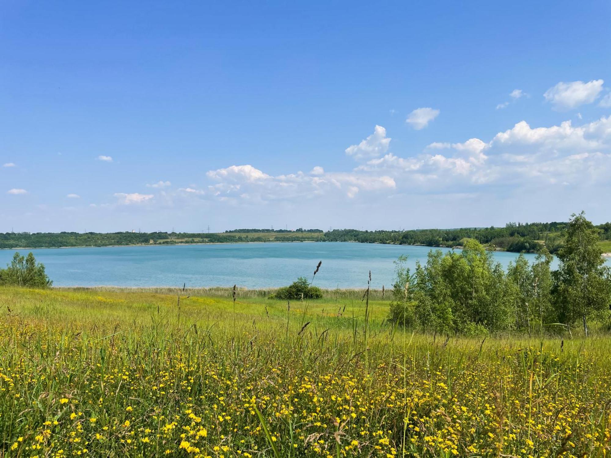 Haus Im Schilf 2 - Ferienwohnungen Am Hainer See Bei Leipzig Neukieritzsch Exterior photo